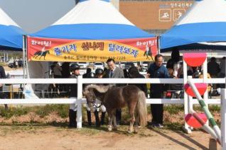 풀뿌리 승마대회 의 사진