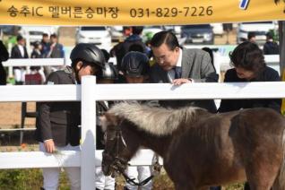 풀뿌리 승마대회 의 사진