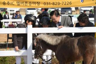 풀뿌리 승마대회 의 사진